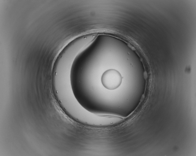 X0000115120836200911171326