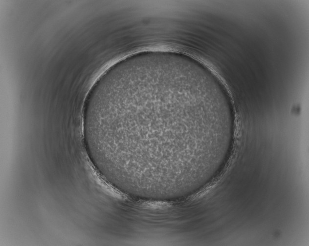 X0000115120837200911171326