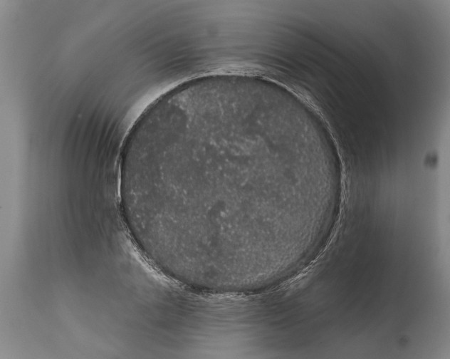 X0000115120838200911171326