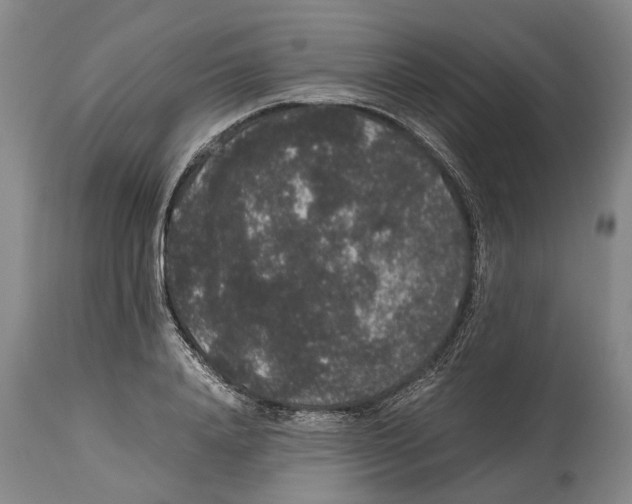 X0000115120840200911171326