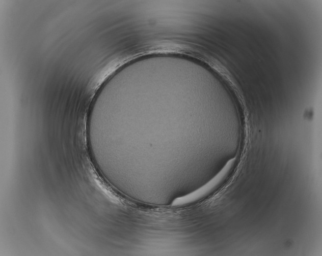 X0000115120842200911171326