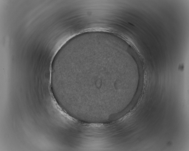 X0000115120844200911171326