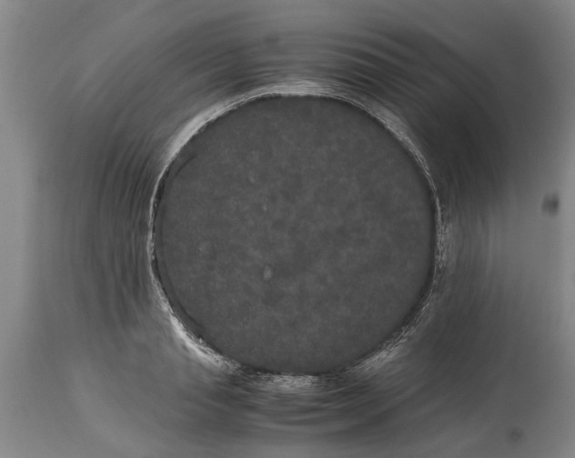 X0000115120845200911171326