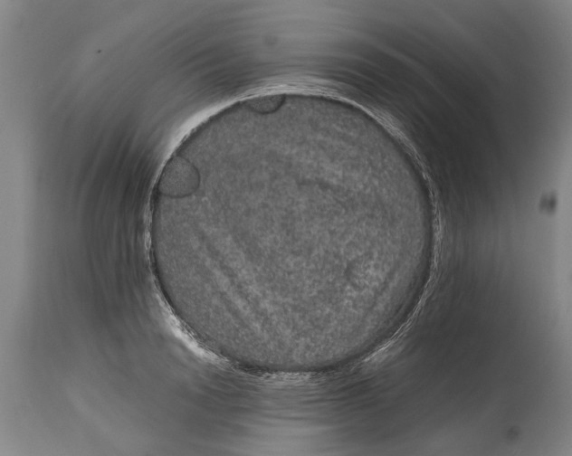 X0000115120846200911171326