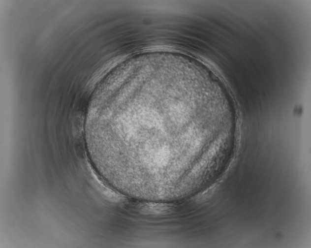 X0000115120849200911171326