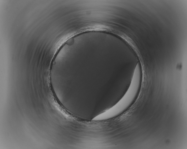 X0000115120850200911171326