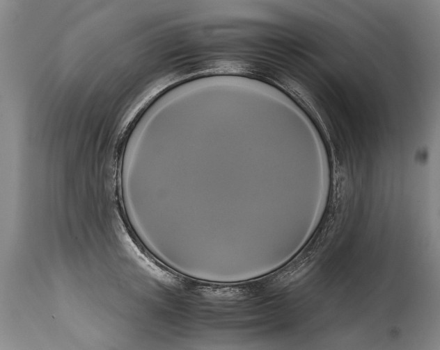 X0000115120851200911171326