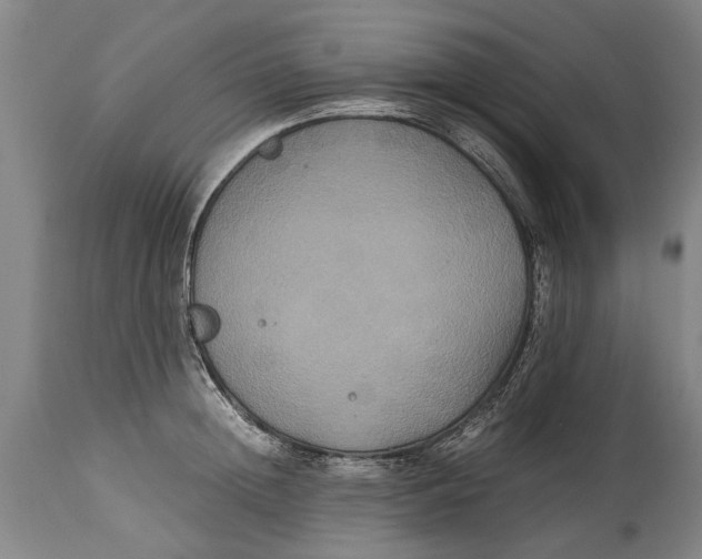 X0000115120852200911171326