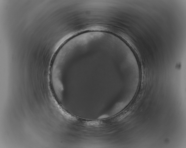 X0000115120853200911171326