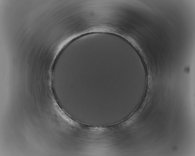 X0000115120854200911171326