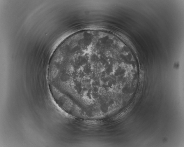 X0000115120855200911171326
