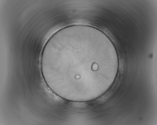 X0000115120856200911171326