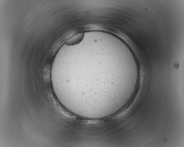 X0000115120857200911171326