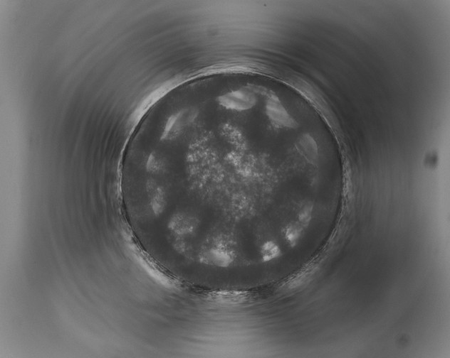 X0000115120858200911171326