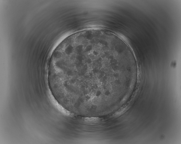 X0000115120859200911171326