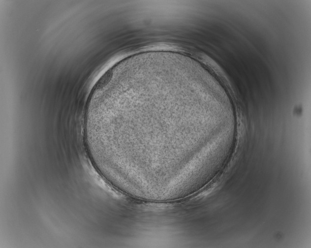 X0000115120860200911171326