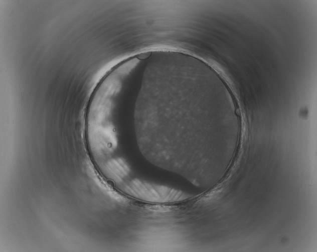 X0000115120862200911171326
