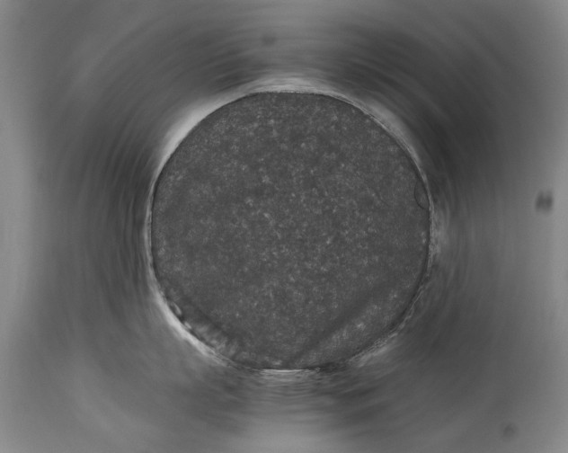 X0000115120863200911171326