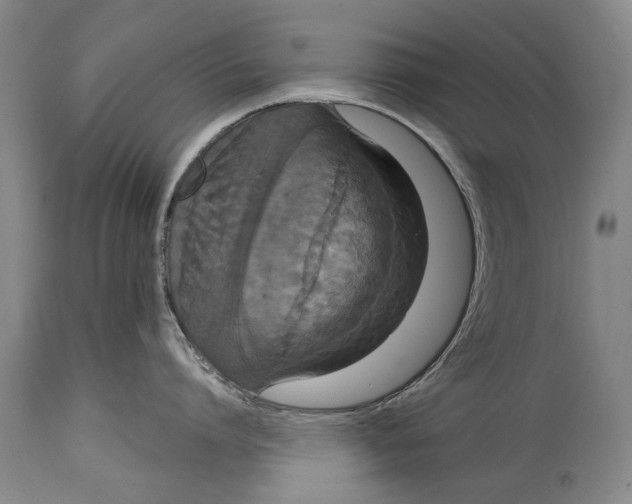 X0000115120864200911171326