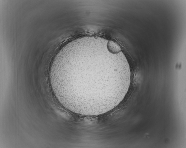 X0000115120865200911171325