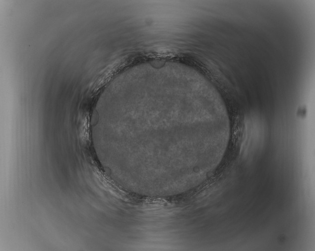 X0000115120866200911171325