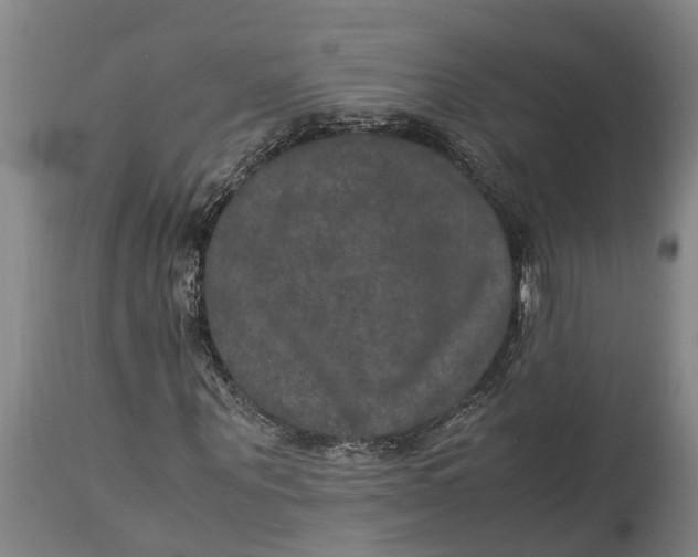 X0000115120867200911171325