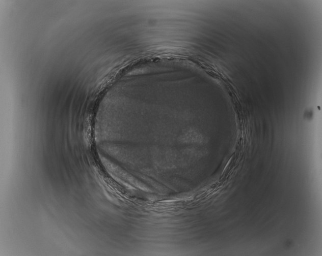 X0000115120868200911171325