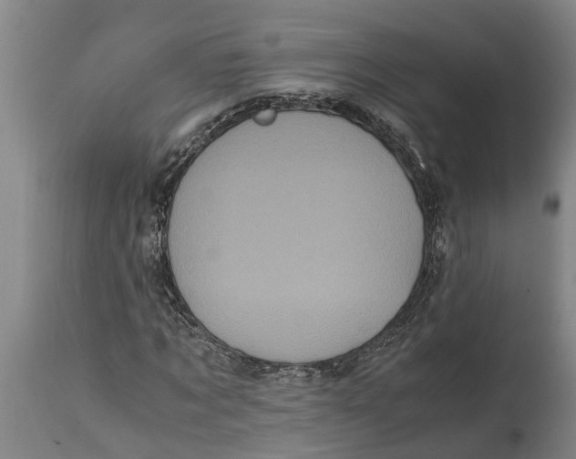 X0000115120869200911171325