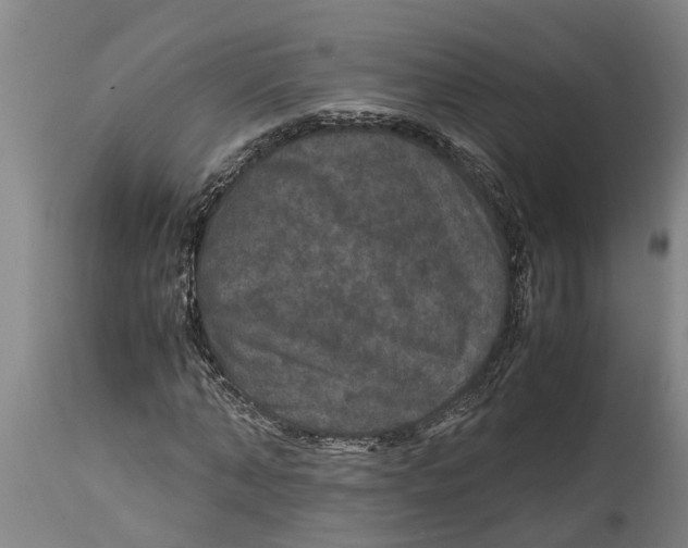 X0000115120870200911171325