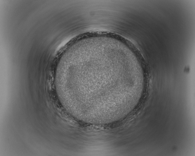 X0000115120871200911171325