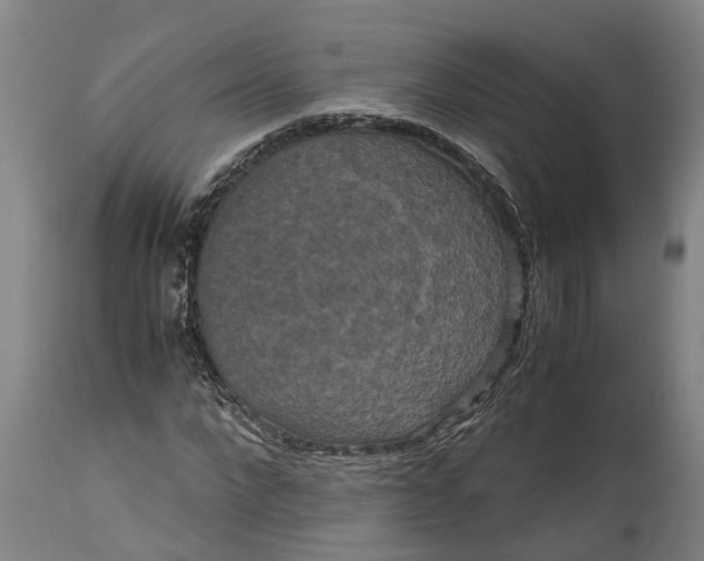 X0000115120872200911171325