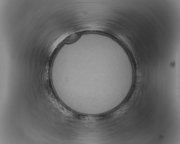 X0000115120875200911171325