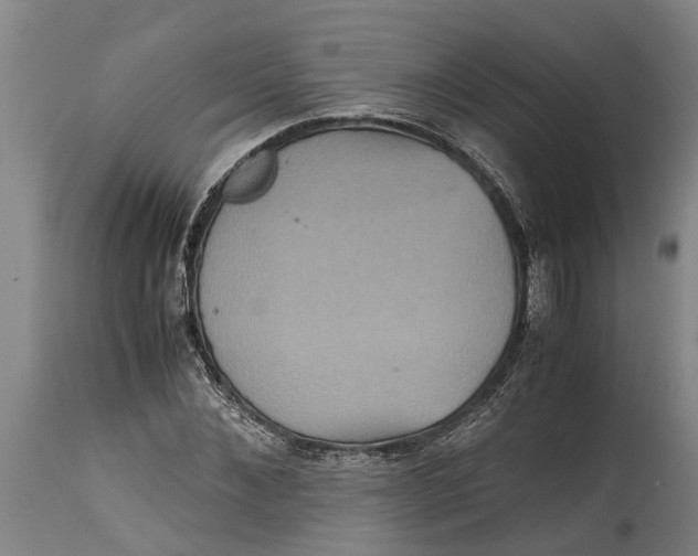 X0000115120876200911171325