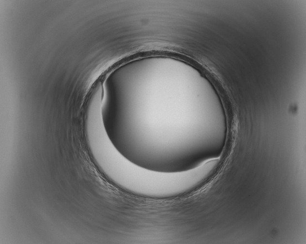X0000115120877200911171325