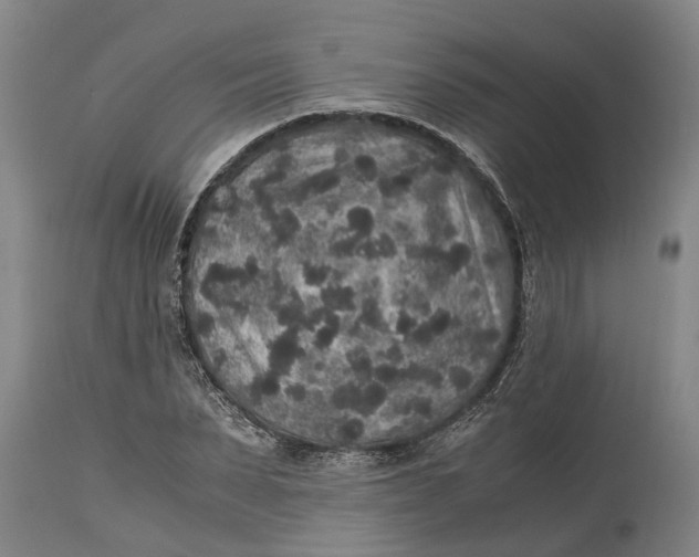 X0000115120879200911171325
