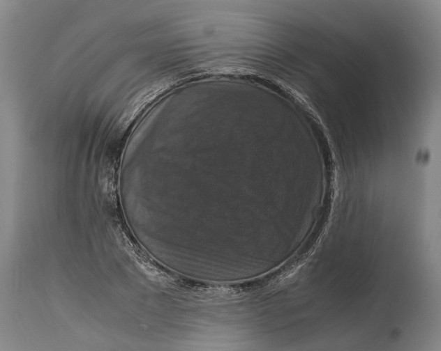 X0000115120881200911171325