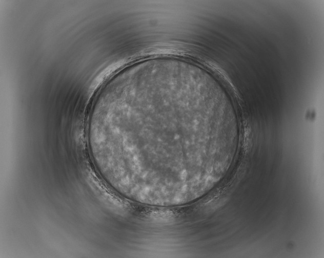 X0000115120882200911171325