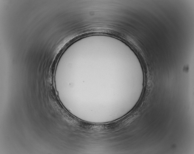 X0000115120883200911171325