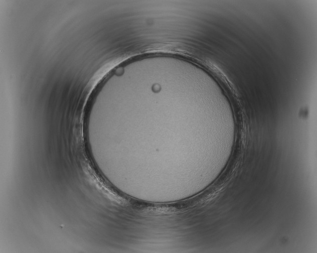 X0000115120884200911171325