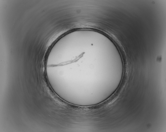 X0000115120885200911171325