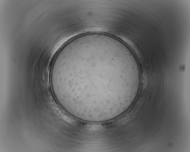 X0000115120886200911171325