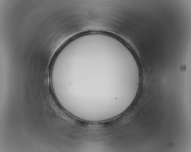 X0000115120887200911171325