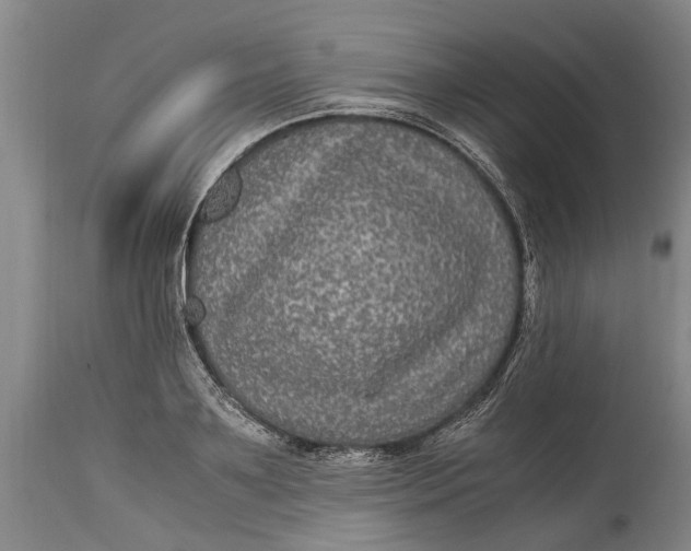 X0000115120891200911171325