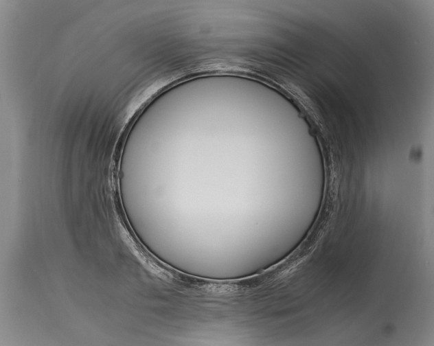X0000115120893200911171325