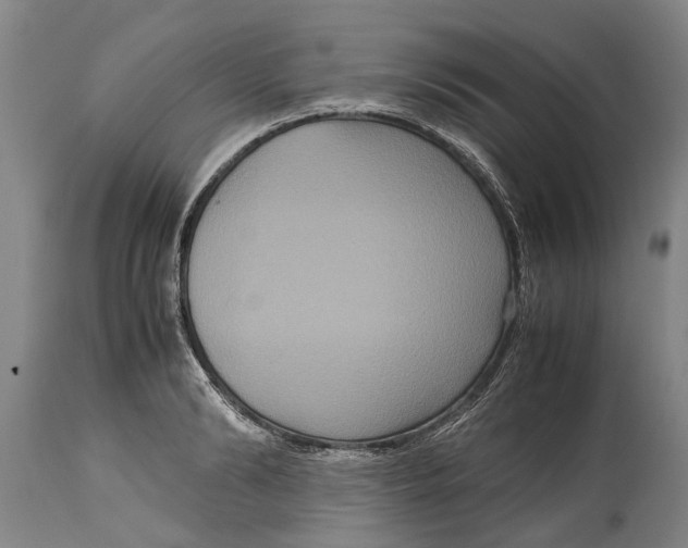 X0000115120894200911171325