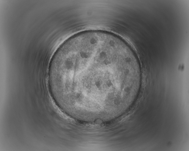 X0000115120895200911171325