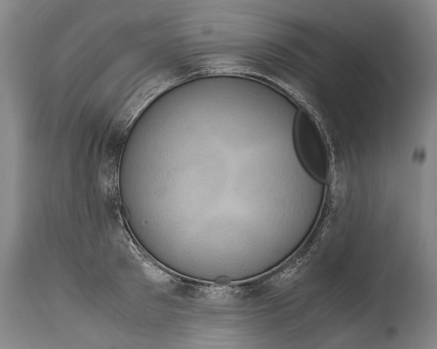 X0000115120897200911171325
