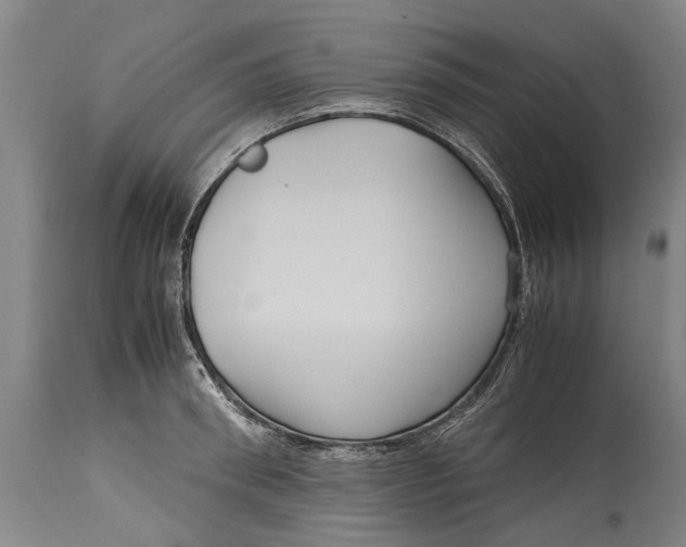 X0000115120898200911171325