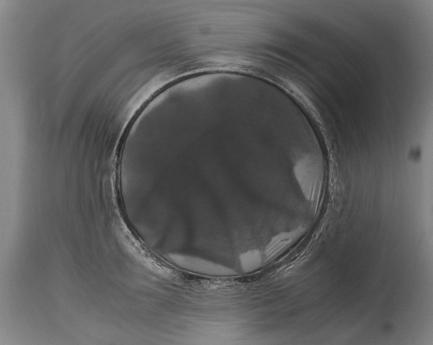X0000115120899200911171325