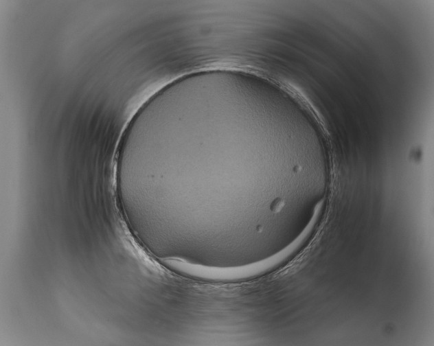 X0000115120900200911171325